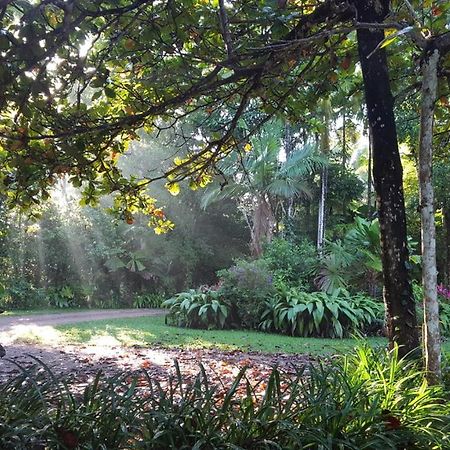 Fanpalm Creek Hideaway Villa Diwan Екстериор снимка